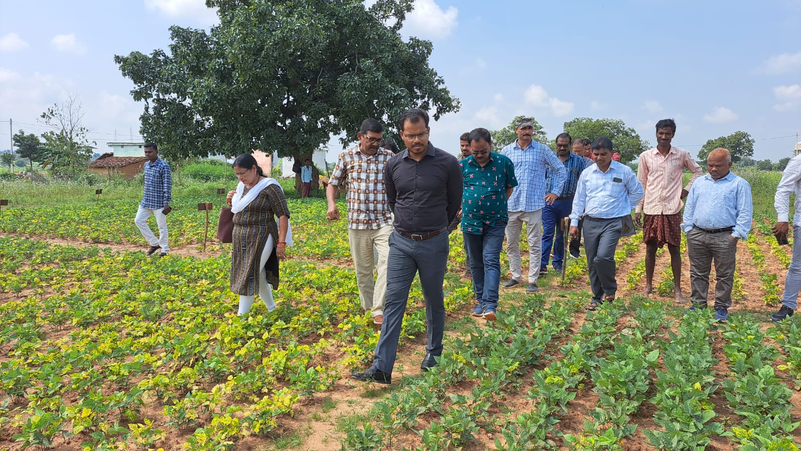 Integrated Farming